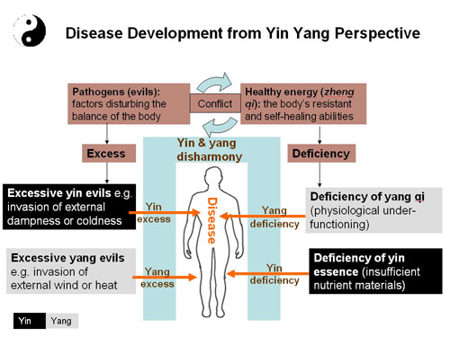 Yin Yang Theory In Traditional Chinese Medicine Novoherb